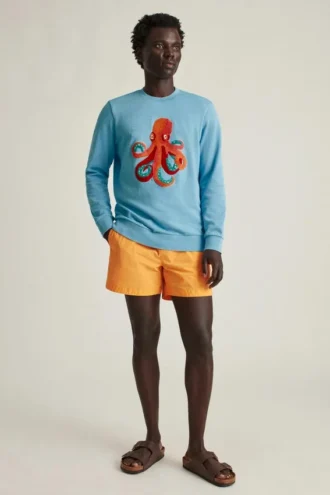 Pulls à col rond en édition limitée